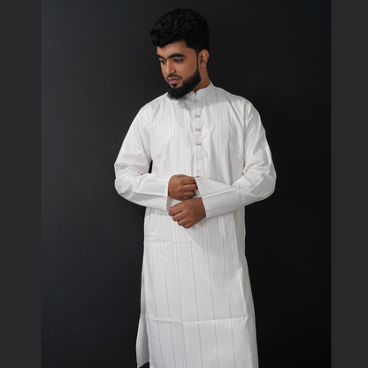 Luxurious Panjabi for Men code 303