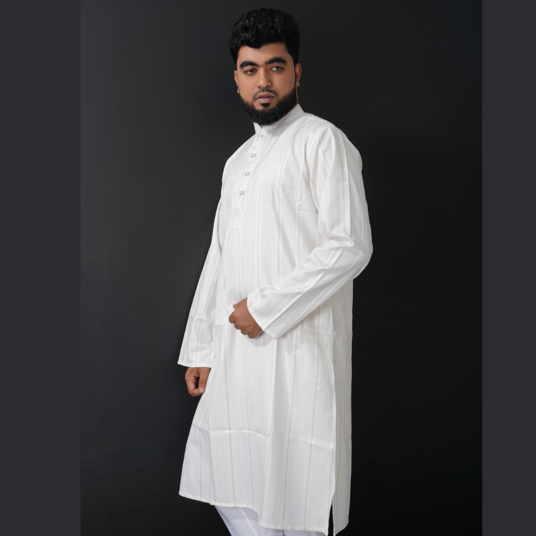 Luxurious Panjabi for Men code 303